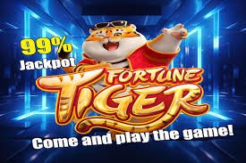 Tampilan halaman login bm1 pada perangkat mobile dan desktop yang responsif